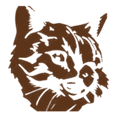 Diseño Gatito en un café